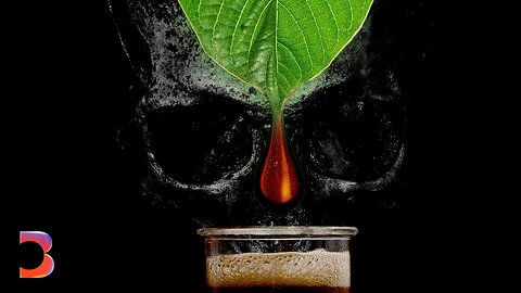 The Growing Toll of America's Booming Kratom Industry