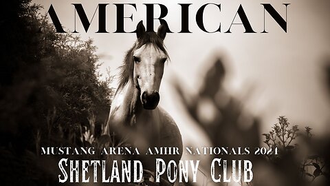 AMHR National Mustang Arena September 7th, 2024