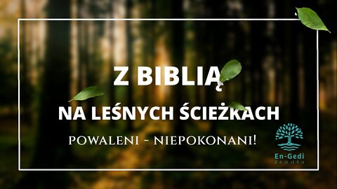 Powaleni - niepokonani!