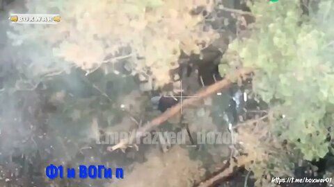 ‼️🇷🇺⚡️ Footage of the assault on the positions of the Armed Forces of Ukraine in the fores