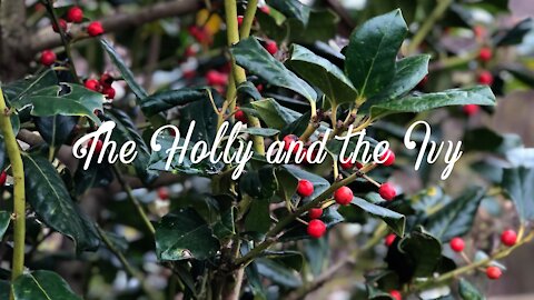 The Holly and the Ivy - Nina Ricci