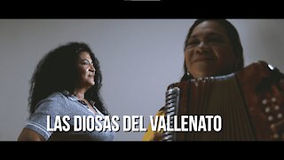 Vuelve el talento de Las Diosas del Vallenato