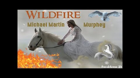 Wildfire by Michael Martin Murphey ~ Mother Mary and Jesus Riding Pegasus into Heaven