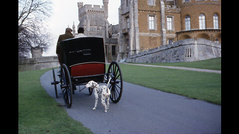 DINAN THE DALMATIAN AT BELVOIR CASTLE-THE ACTION 1985