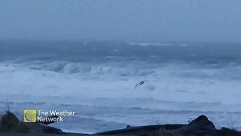 Strait of Georgia rages with strong winds