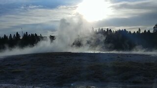 Geyser in the Upper Geyser Basin