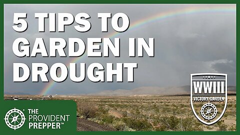 WWIII Victory Garden: 5 Water Conservation Strategies with Jim Phillips