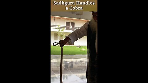 Sadhguru_Handles_a_Cobra_Shorts (360p).m p4 2.96MB 406x720px 00:33