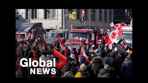 Trucker protests: Parts of Toronto see large crowds for anti-mandate demonstrations