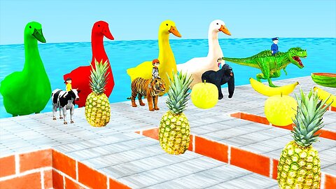 Duck cartoon Choose the Right Crossing Fountain Cow Gorilla T rex Tiger Wind Animals Funny