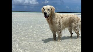 Pearl Cay