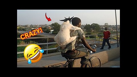 Try not to laugh at these funny videos 😂