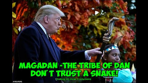 MAGADAN -THE TRIBE OF DAN - DON'T TRUST A SNAKE! - Shaking My Head Productions