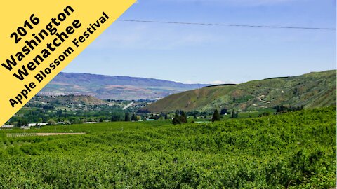 Washington: Wenatchee and the Apple Blossom Festival 2016