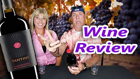 Fantini Sangiovese Wine Review