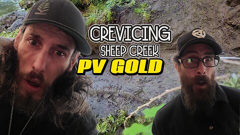 [PV GOLD] CREVICING SHEEP CREEK