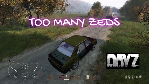 Too Many Zeds! DayZ PS5