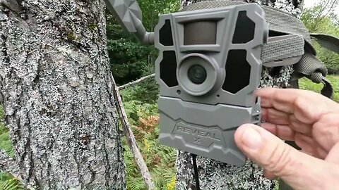 THATS FAST GAME CAM SET UP, TACTA CAM DEER PICTURES