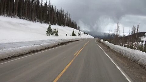 Climate Chaos, Miles of Dead Trees, Mainly Higher Elevation, Scenic Byway 149, Colorado