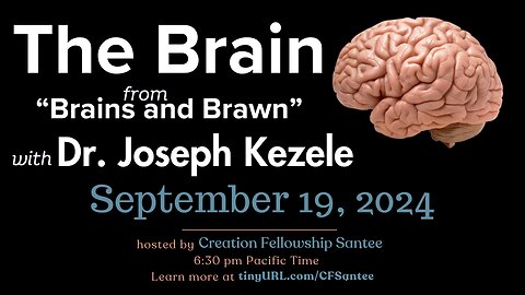 The 'Brain' of 'Brains and Brawn' with Dr. Kezele MD