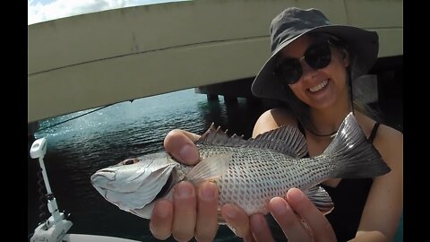 Stuart Florida inshore fishing, live shrimp!