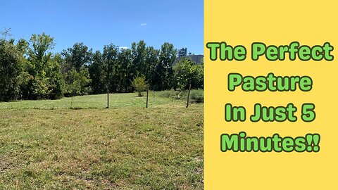 Basic Pasture Maintenance