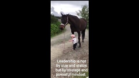 Little Girl Leads a Horse