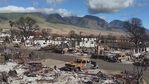 Maui wildfire survivors relocate to Las Vegas | NewsNation Now | VYPER