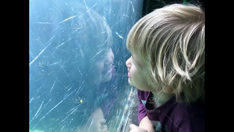 Funny Kids AT THE AQUARIUM 🐳 _ Funny Kids AT THE ZOO 🦁