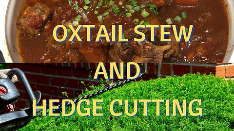 Ep 50 - Oxtail Stew and Groundwork (Hedge Cutting)