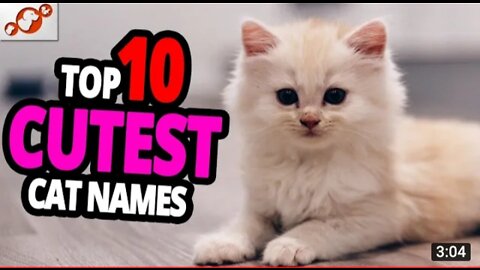 Cutest Cat Names : Top 10 Cutest Cat Names For Male & Female !