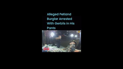 Alleged Petland Burglar Arrested With Gerbils in His Pants #lioneyenews #BreakingNews #news