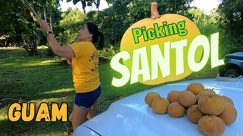 Tropical Fruit, Truck Wheels, Bowling With Filipinos, and More!