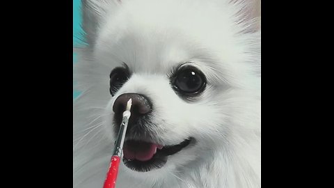 Artist creates incredibly realistic Pomeranian portrait