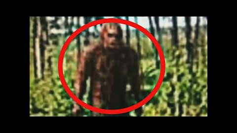 10 Paranormal on Google Earth Caught on Camera in Real Life