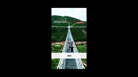 Guinness world record longest walking bridge