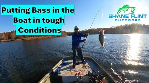 Bass Fishing after a Cold Front: Great Bait for Success