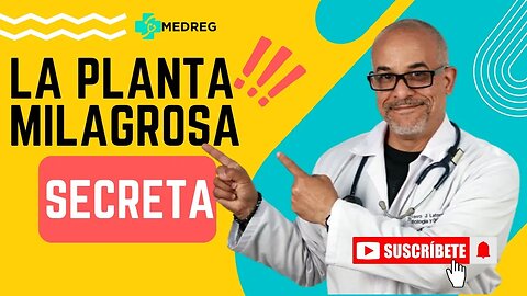 "Increíble Planta: Combate la Inflamación y mucho más"