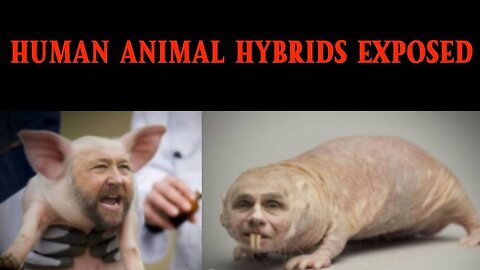 Alex Jones Exposes Human Animal Hybrids in 2009