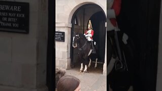 Horse wants to go with them #horseguardsparade