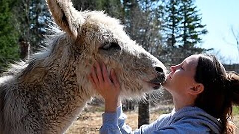 FUNNIEST Pet Reunions 😍 | BEST Front Door Surprises