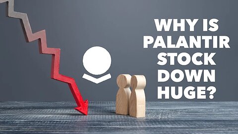 WHY Did Palantir Stock Drop 75%, How to Assess the Future