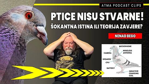 PTICE NISU STVARNE! ŠOKANTNA ISTINA ILI TEORIJA ZAVJERE? / NENAD BEGO / HANGOUT PODCAST KLIP