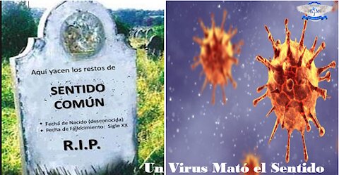 Un Virus Mató el Sentido Común