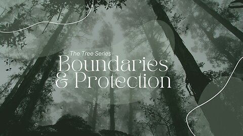 The Tree Series: Boundaries & Protection // August 25, 2024