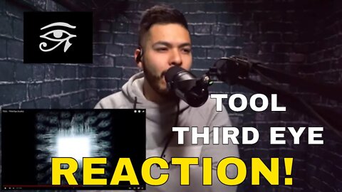 TOOL - Third Eye (Reaction!) | capturing the psychadelic experience in song form