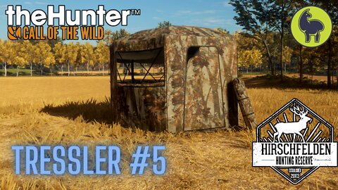 Tressler #5 Hirschfelden | theHunter: Call of the Wild (PS5 4K)