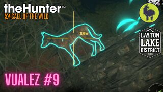 The Hunter: Call of the Wild, Vualez #9 Layton Lakes