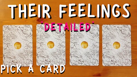 Their feelings towards you? What's going on? || ❤️ PICK A CARD Love Tarot Reading (Timeless) ❤️