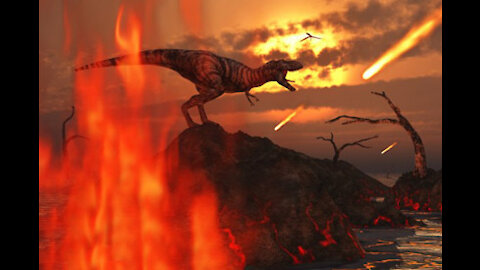 What did the dinosaurs see before the chicxulub impact?